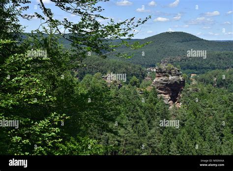 Palatine Forest in Rhineland-Palatinate/Germany; Red Sandstone Stock ...