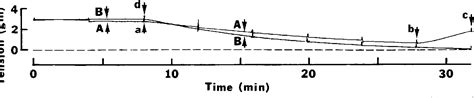 Total Peripheral Resistance | Semantic Scholar