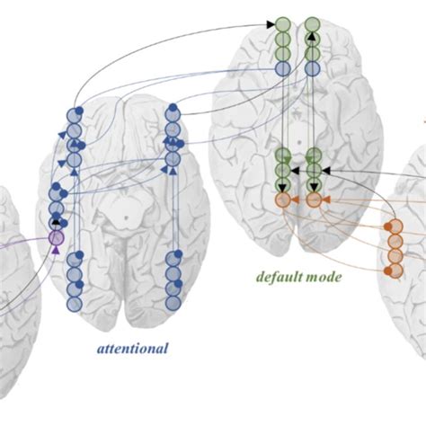 A Markov Blanket Of Networks The Image In This Figure Takes The Ideas Download Scientific