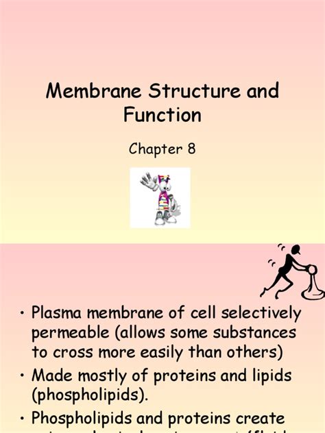 Pdf Unit Membrane Structure And Function Dokumen Tips Hot Sex Picture