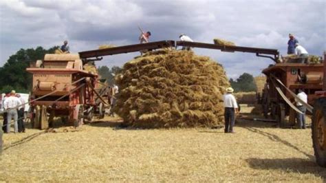 Fête des battages la 16 e dimanche