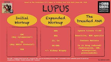 Infographic-Lupus-Diagnosis-Pearls-The-Curbsiders-171-Lupus-in-Primary-Care-with-Beth-Jonas-MD ...