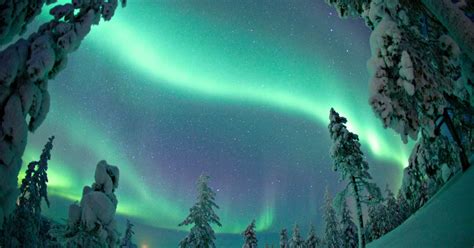 Rovaniemi Excursi N A La Aurora Boreal Con Motos De Nieve El Ctricas