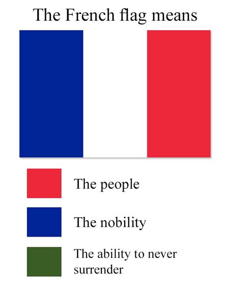 meaning of french flag : r/vexillologycirclejerk