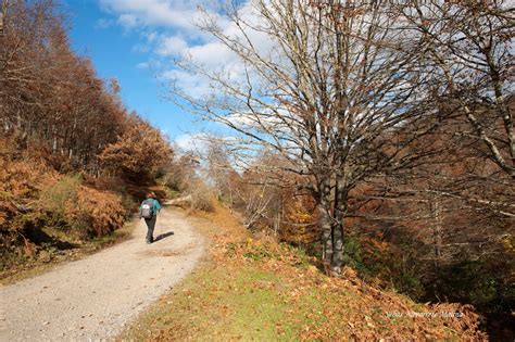 Instantes fotos de Sebastián Navarrete Ruta en el Bosque Peloño P N