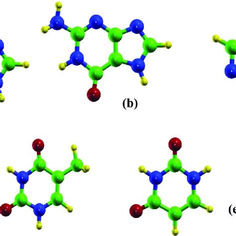 Optimized Structure Of The Nucleobases A Adenine B Guanine C Download Scientific