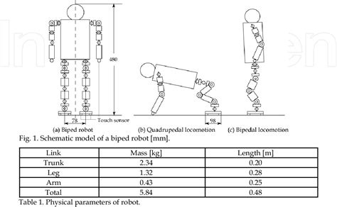 Table 1 From Experimental Verification Of Gait Transition From