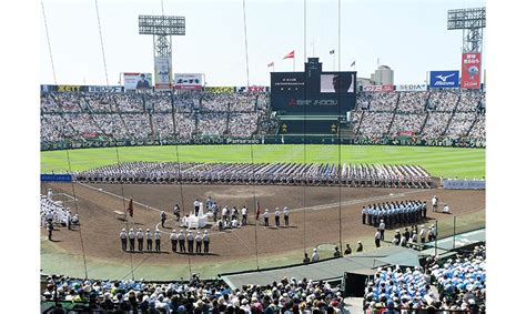 第101回全国高校野球選手権大会｜スポーツのチケット ローチケ ローソンチケット