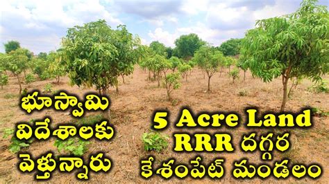 5 Acres Agriculture Lands For Sale In Telangana Mango Farm YouTube