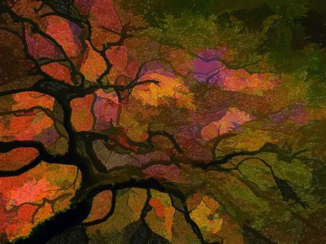 Japanese Maple Painting At Paintingvalley Explore Collection Of