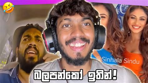 බලපන්කෝ ඉතින් බැනේ Meme Review C3d Youtube