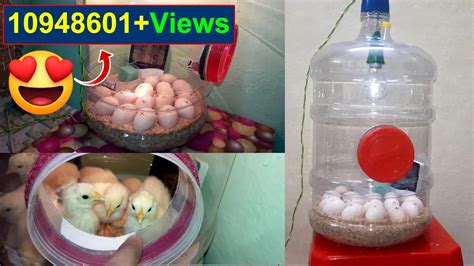 Homemade Egg Incubator Instructions