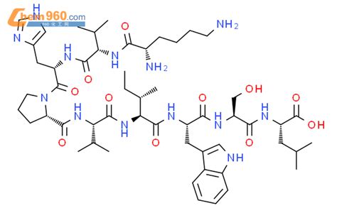 L Leucine L Lysyl L Valyl L Histidyl L Prolyl L Valyl L