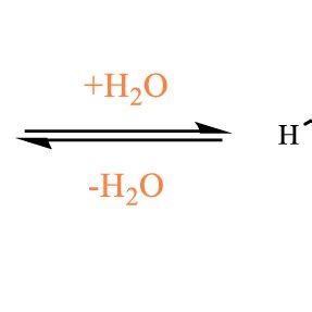 Proline Is Catabolized To Glutamate Via Two Enzymatic Steps PRODH