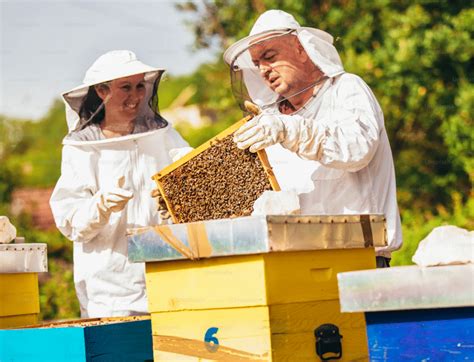 Tutela Degli Impollinatori Perch Gli Apicoltori Hanno Manifestato In