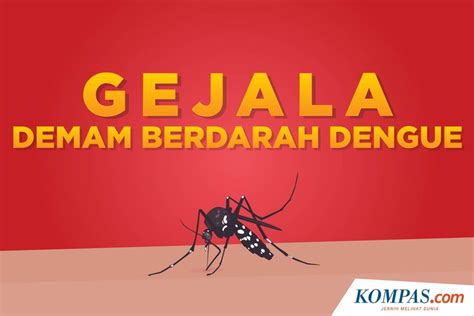 Demam Berdarah Dengue Newstempo