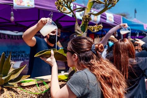 Pulcata Fest 2023 tendrá camping y globos aerostáticos