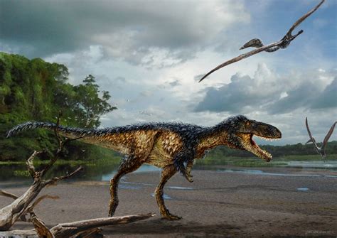 Dinosaur fossils shed light on how T. rex became T. rex - CBS News