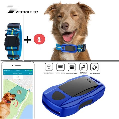 Rastreador Gps Para Mascotas Rastreador Gps Para Perros Y Buscador De