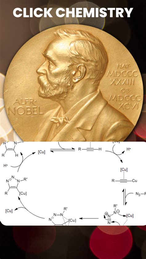 Nobel Prize 2022: What is Click Chemistry, the prize-winning chemistry ...