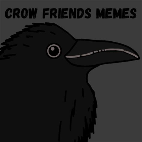 Crow Friends Memes – SHELVES 🔲