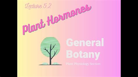 Lecture 5 2 Plant Hormones Youtube