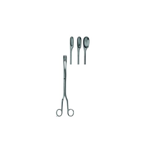 Obstetrics Placenta And Ovum Forceps Hqs Instruments