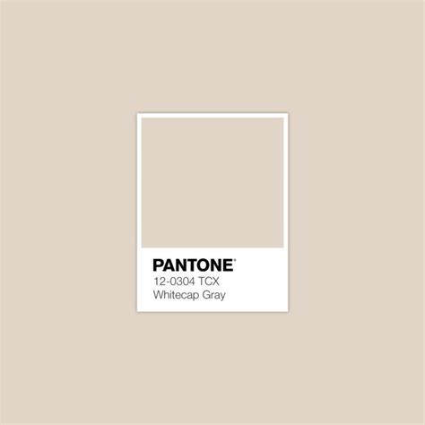 PANTONE 12-0304 TCX Whitecap Gray Color Palette