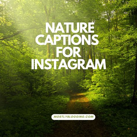 Nature Captions For Instagram 61 Inspirational Quotes