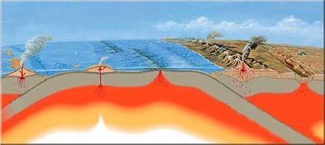 Plate Tectonics Diagram | Quizlet