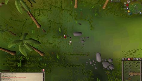 Beaver pet while doing low level hunter! 53 woodcutting. : r/2007scape