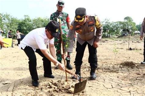 Wabup Bersama Forkopimda HST Tanam 100 Pohon Untuk Menjaga Kelestarian