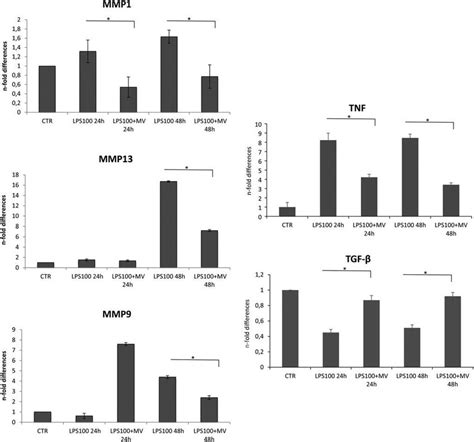 Quantitative RT PCR Analysis For The Expression Of MMP1 MMP9 MMP13