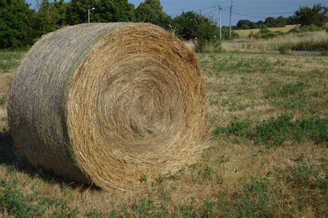 Hay roll in the field 8205752 Stock Photo at Vecteezy