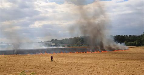 Fl Chenbrand In Stutensee Quadratmeter Weizenfeld Stehen In Flammen