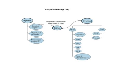 Ecosystem Concept Map Template | EdrawMind