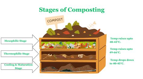 The Cycle of Growth: Understanding the Composting Process - Pestrol Australia