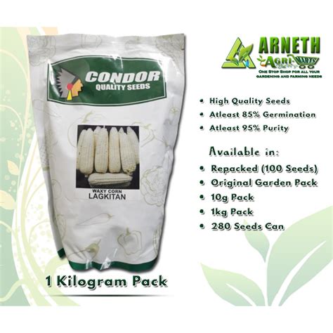 Waxy Corn Seeds Lagkitan By Condor Kg And Other Glutinous Corn