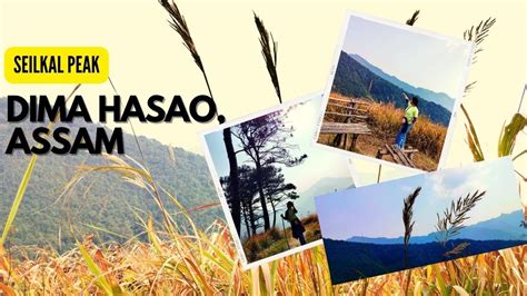 Seilkal Peak Dima Hasao Assam Complete Travel Details Check Description Box Youtube