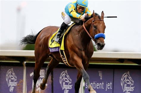 American Pharoah begins breeding career with first roll in the hay