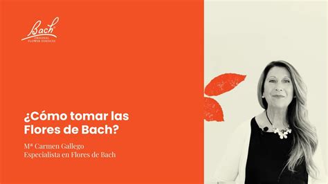 Gu A Completa C Mo Tomar Correctamente Las Flores De Bach Para