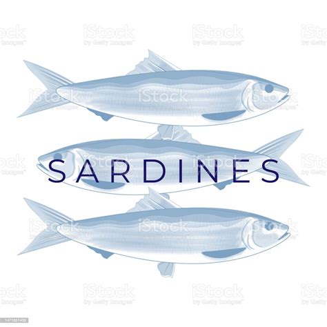 Simple Sardine Fish Vector Illustration In Blue Color Stock