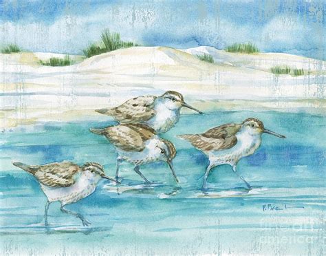 Sandy Sandpipers I Painting By Paul Brent Pixels