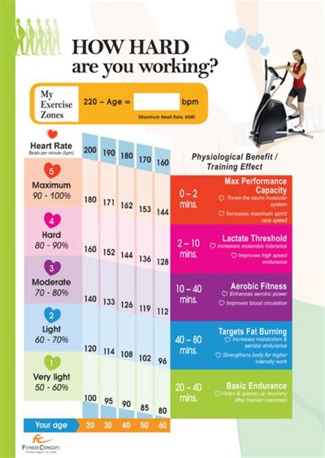 What Is My Ideal Fat Burning Heart Rate Dlinter