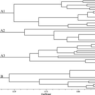 Dendrogram Of Jaccards Similarity Matrix Shows The Genetic