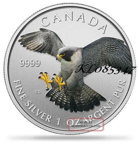 2014 1 Oz Fine Silver Canadian Peregrine Falcon Colorized Coin Ready