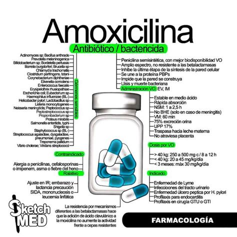 Amoxicilina Yon Soo UDocz