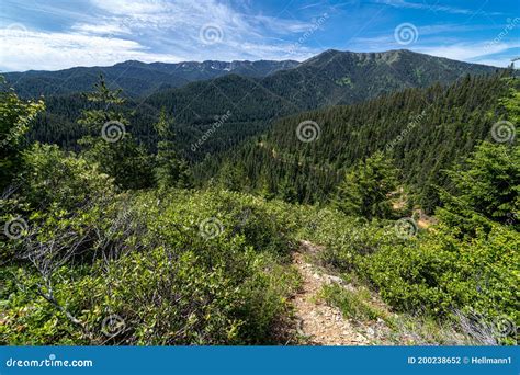 On The Hiawatha Mountain Bike Trail Stock Photo Image Of Northern