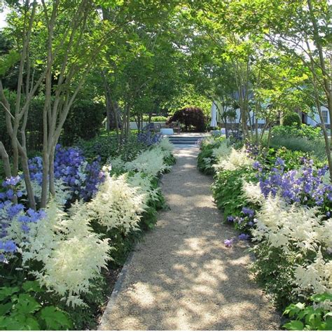 Astilbe Garden Design | Fasci Garden