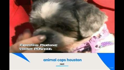 Animal Cops Houston Ending Credits Season 9 Episode 5 Matted Murray Hd